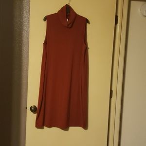 Chic turtleneck dress